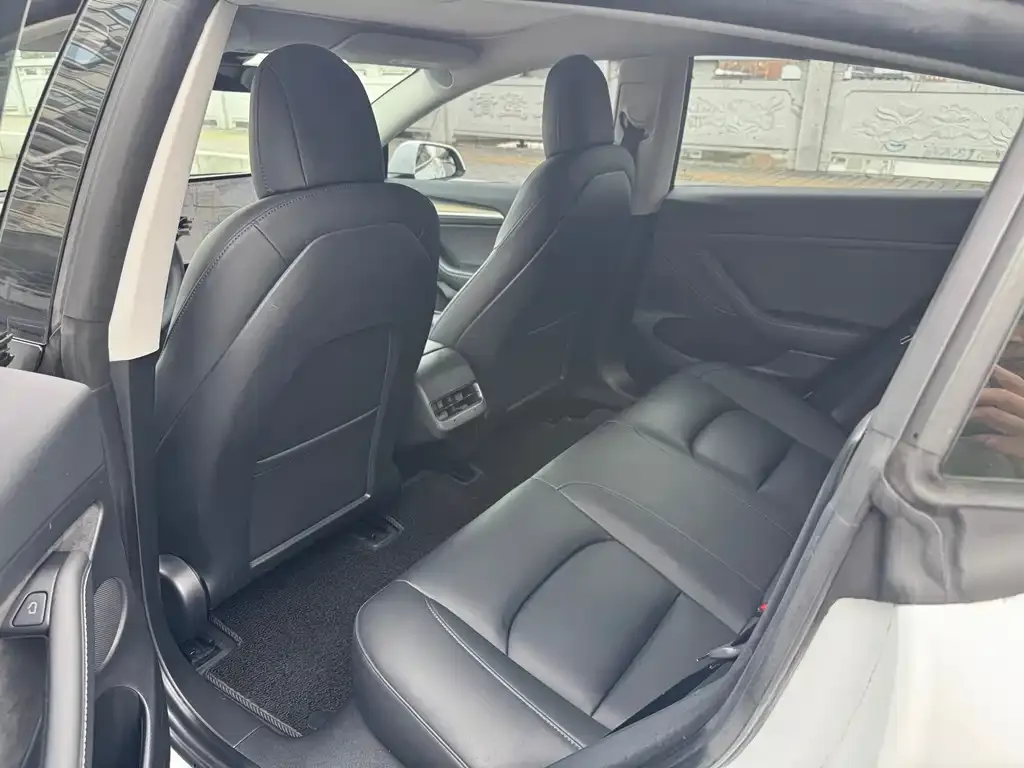 Tesla Model 3 2021 из CN, фото 3
