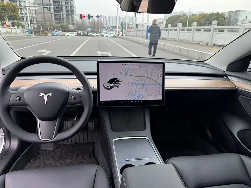 Tesla Model 3 2021 из CN, фото 4