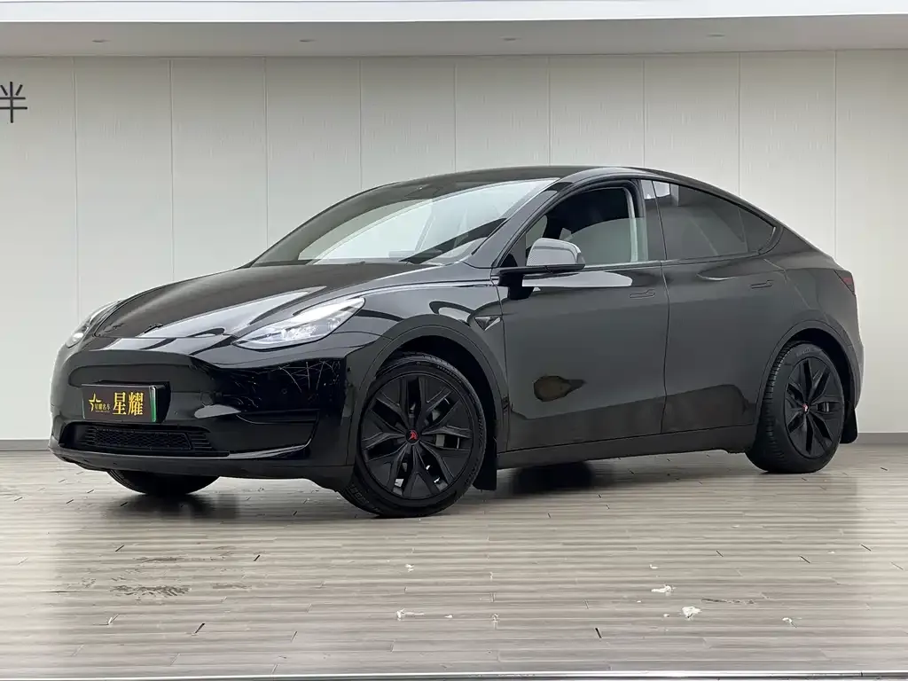 Tesla Model Y — фото 7