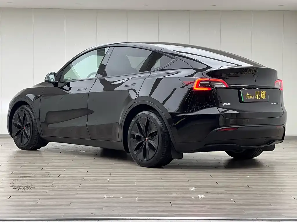 Tesla Model Y — фото 6