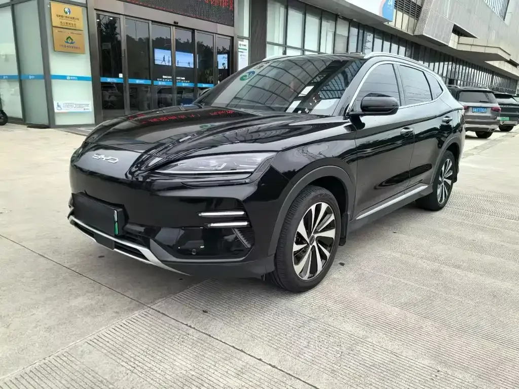 BYD PLUS New Energy — фото 1