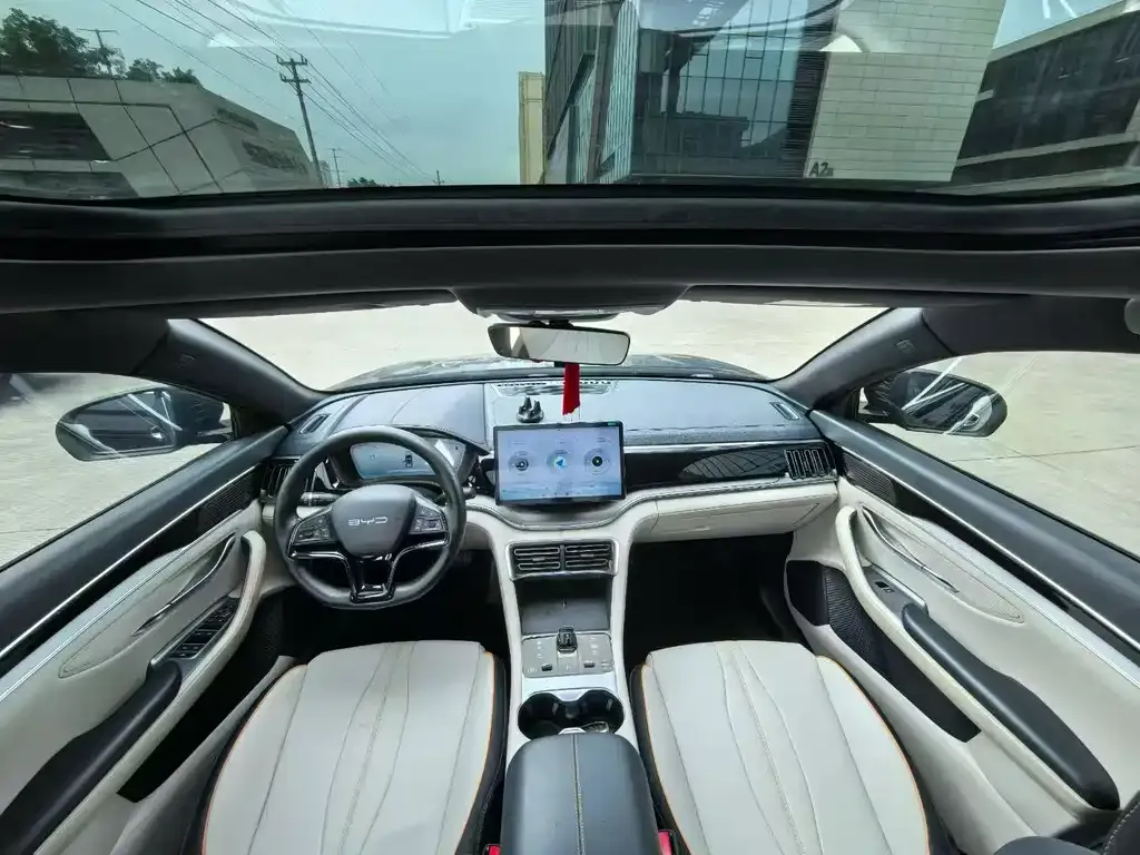 BYD PLUS New Energy — фото 2