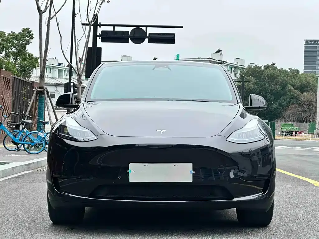 Tesla Model Y — фото 2