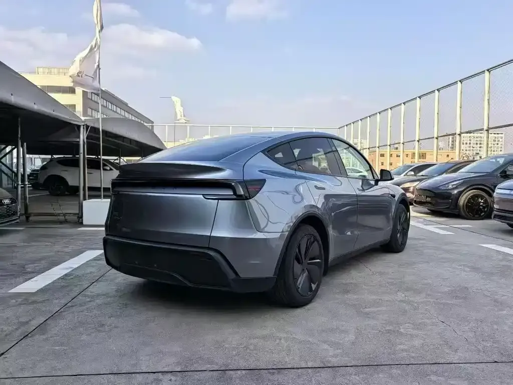 Tesla Model Y — фото 3