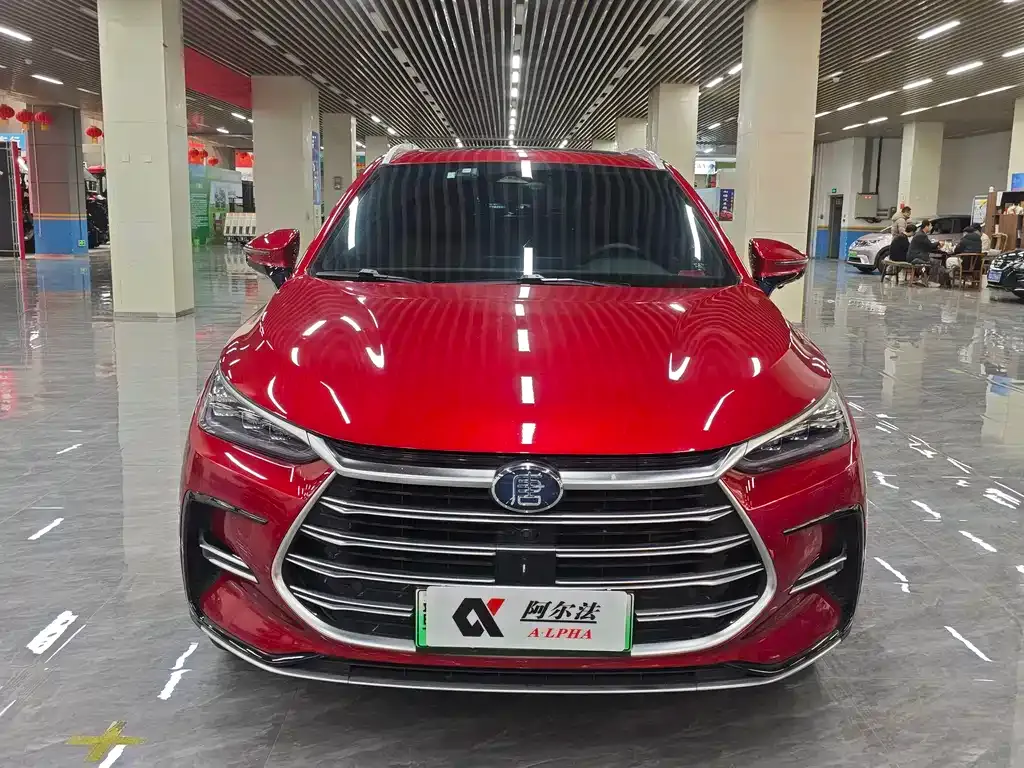 BYD Tang New Energy — фото 4