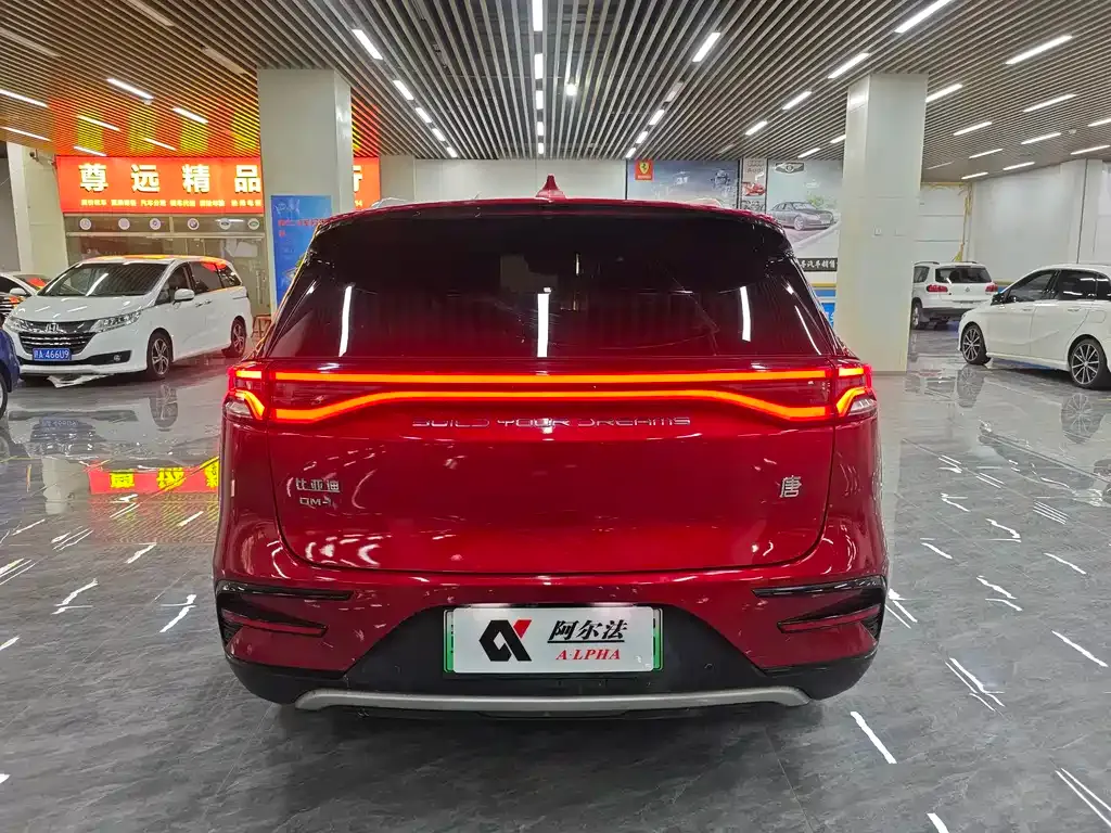 BYD Tang New Energy — фото 5