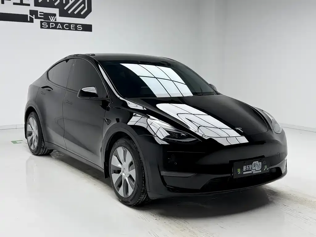 Tesla Model Y — фото 10