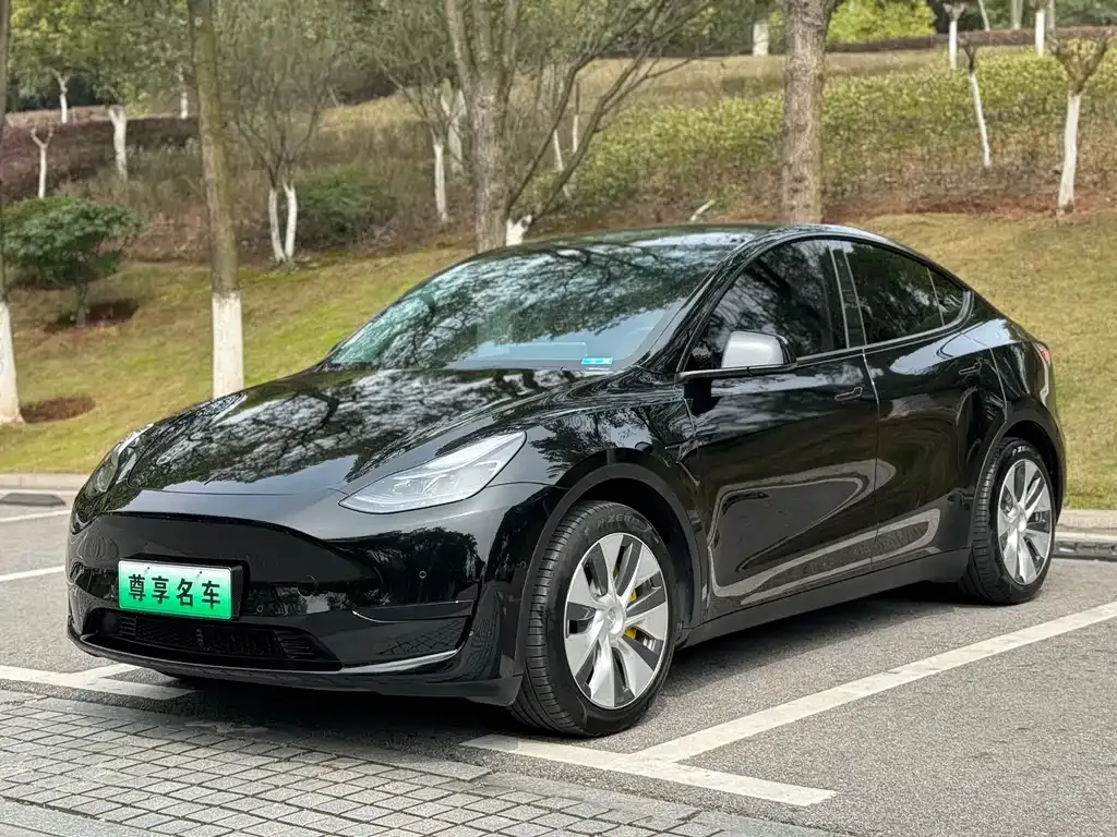 Tesla Model Y 2022 из CN, фото 1