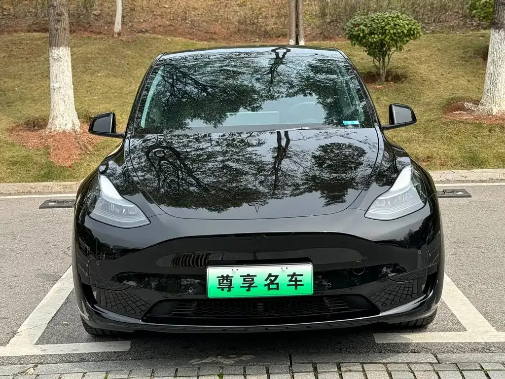 Tesla Model Y 2022 из CN, фото 8