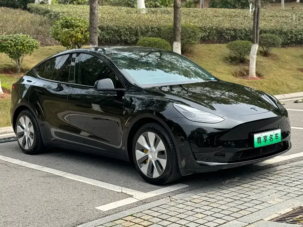 Tesla Model Y 2022 из CN, фото 9