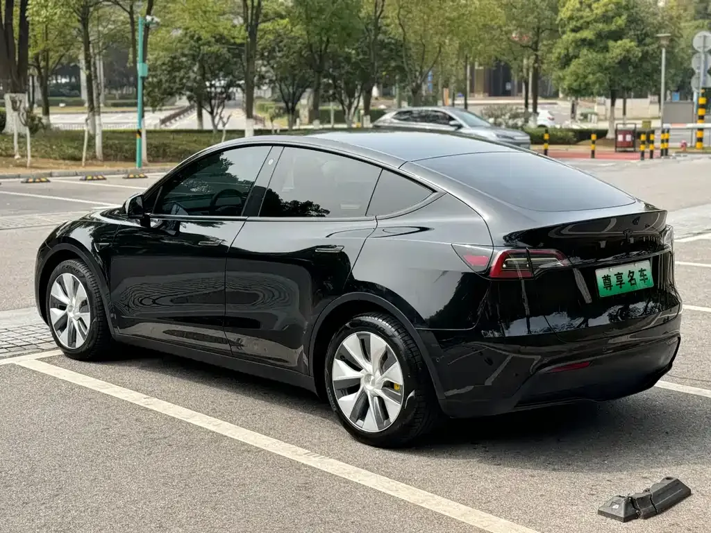 Tesla Model Y 2022 из CN, фото 4