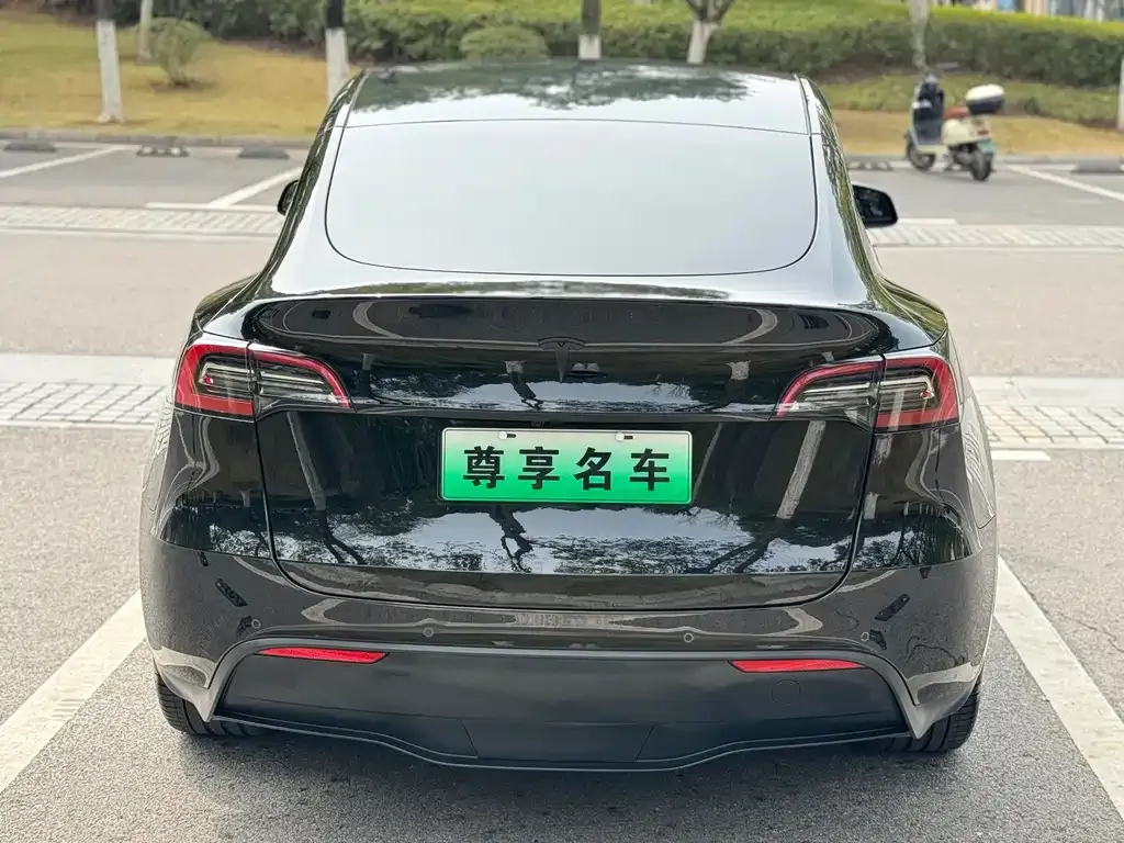 Tesla Model Y 2022 из CN, фото 2