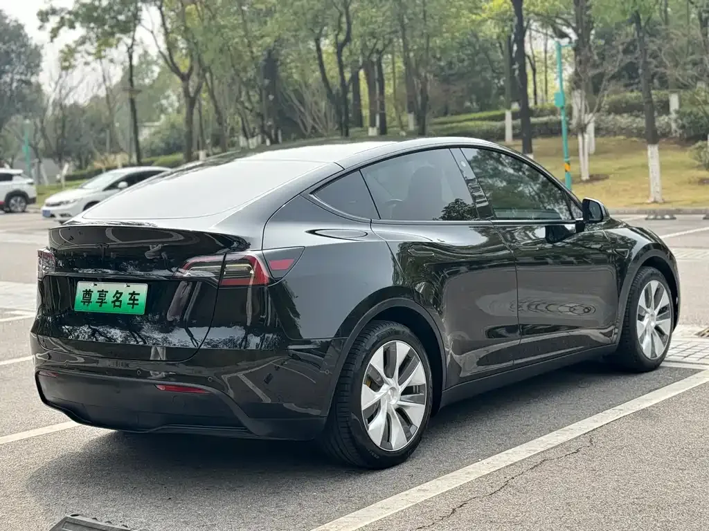 Tesla Model Y 2022 из CN, фото 3