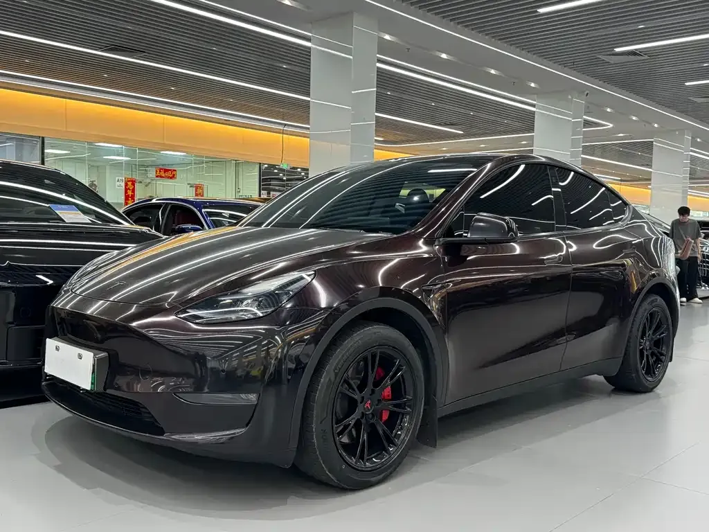 Tesla Model Y — фото 1