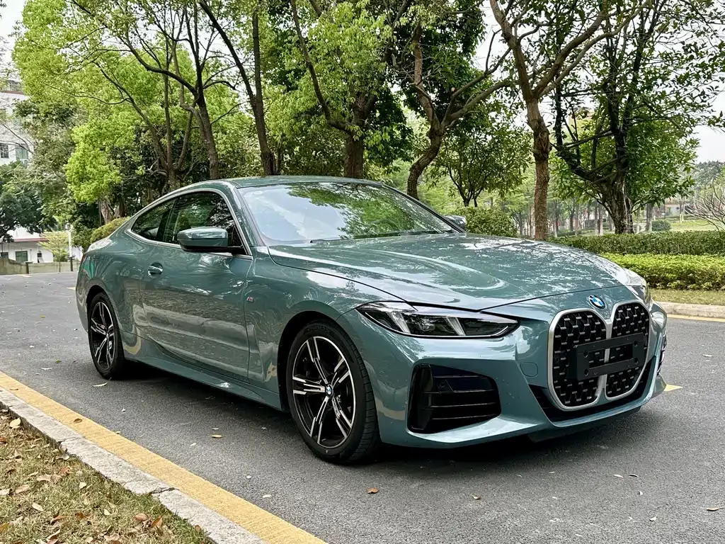 BMW 4 Series — фото 10