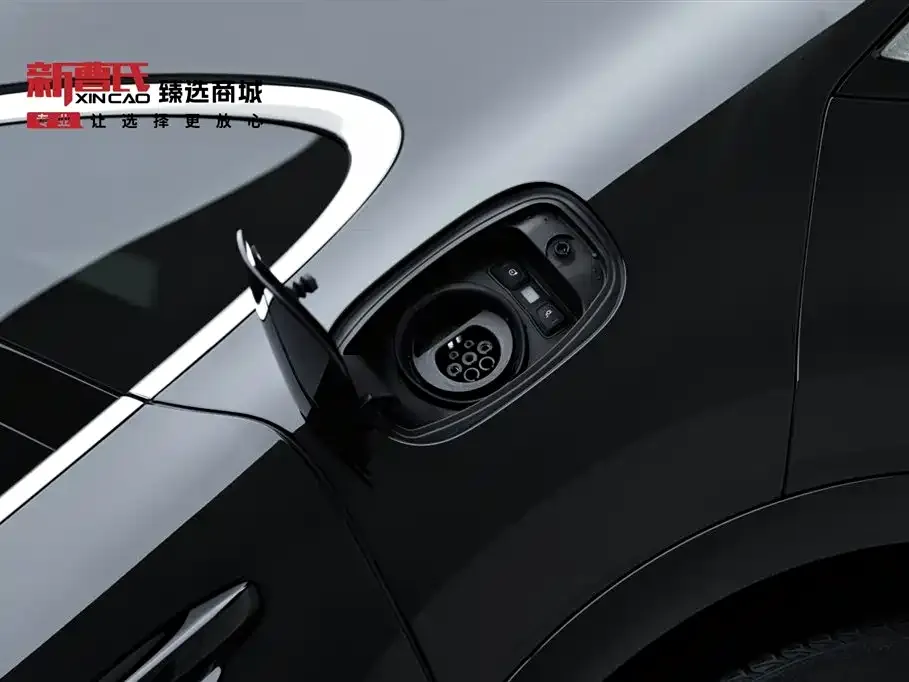 Porsche Cayenne Hybrid 2024 из CN, фото 9