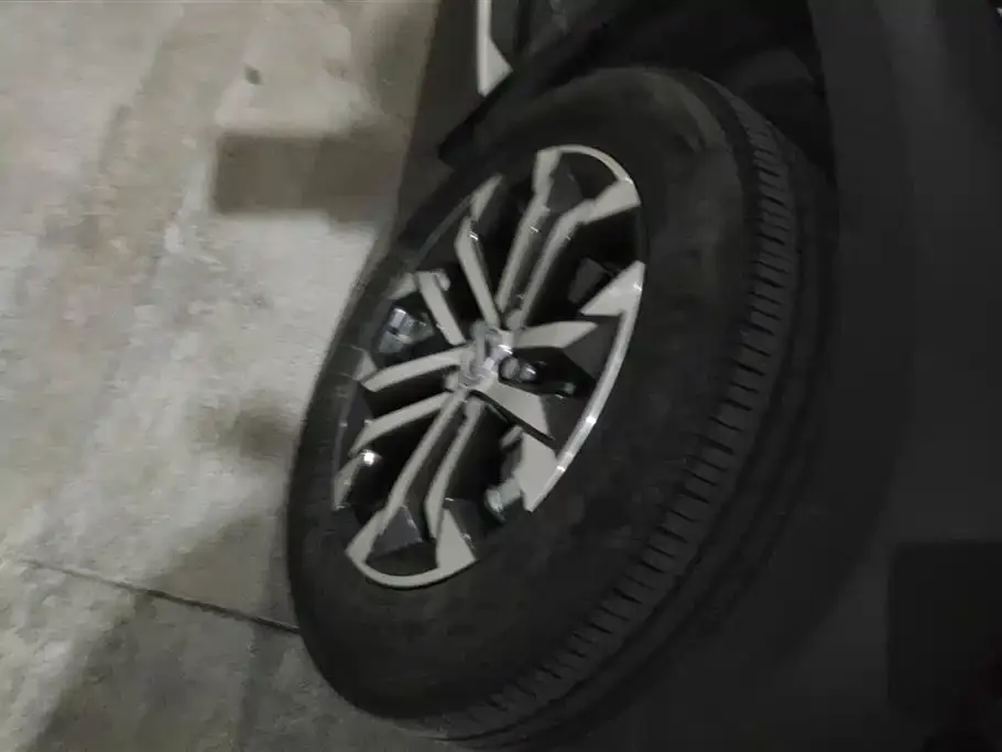 Haval Big Dog 2021 из CN, фото 2