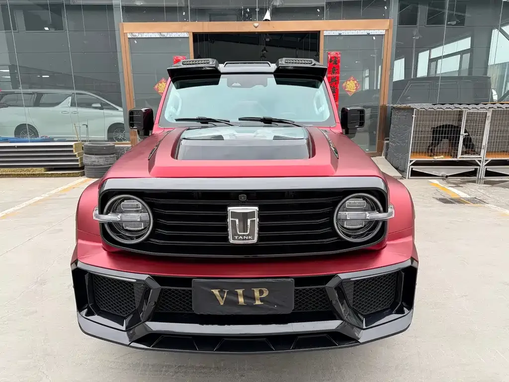 Tank 300 2022 из CN, фото 10