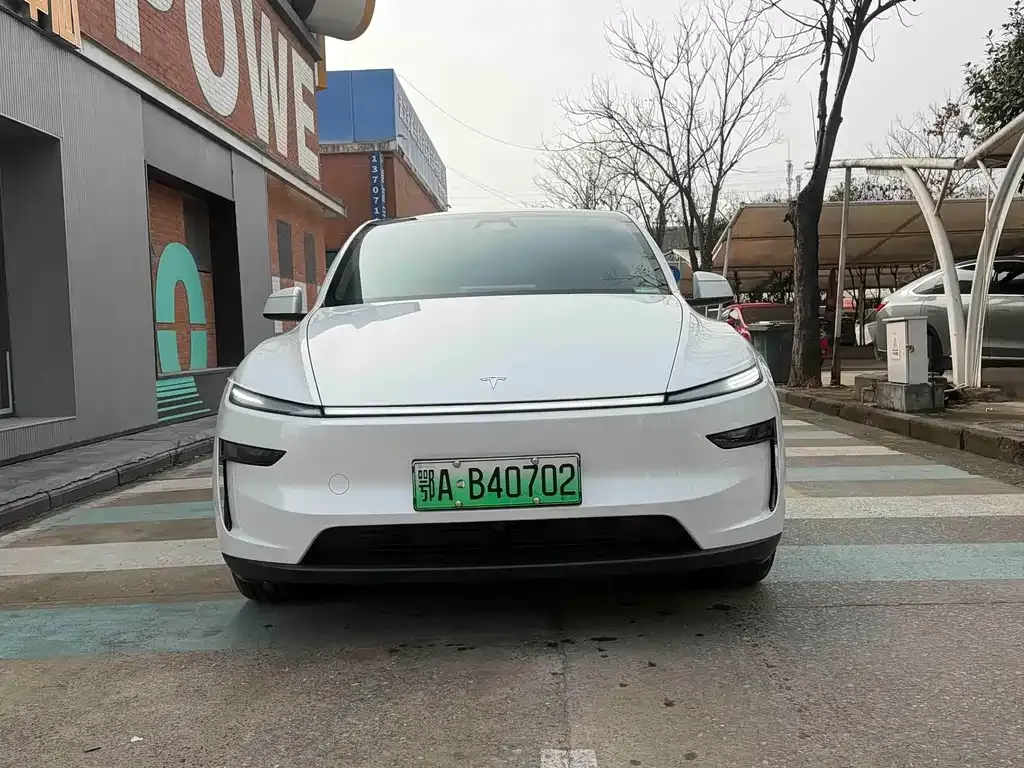 Tesla Model Y — фото 6