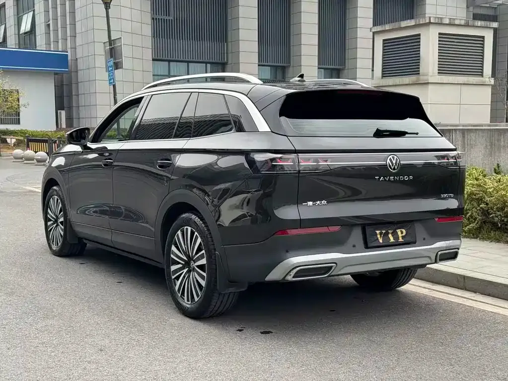 Volkswagen Tavendor 2024 из CN, фото 3