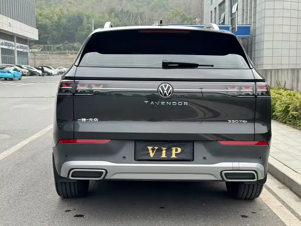 Volkswagen Tavendor 2024 из CN, фото 9