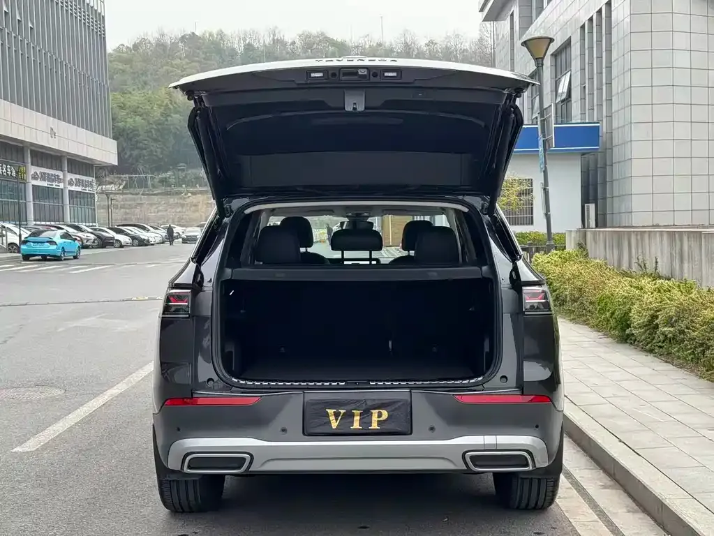 Volkswagen Tavendor 2024 из CN, фото 7