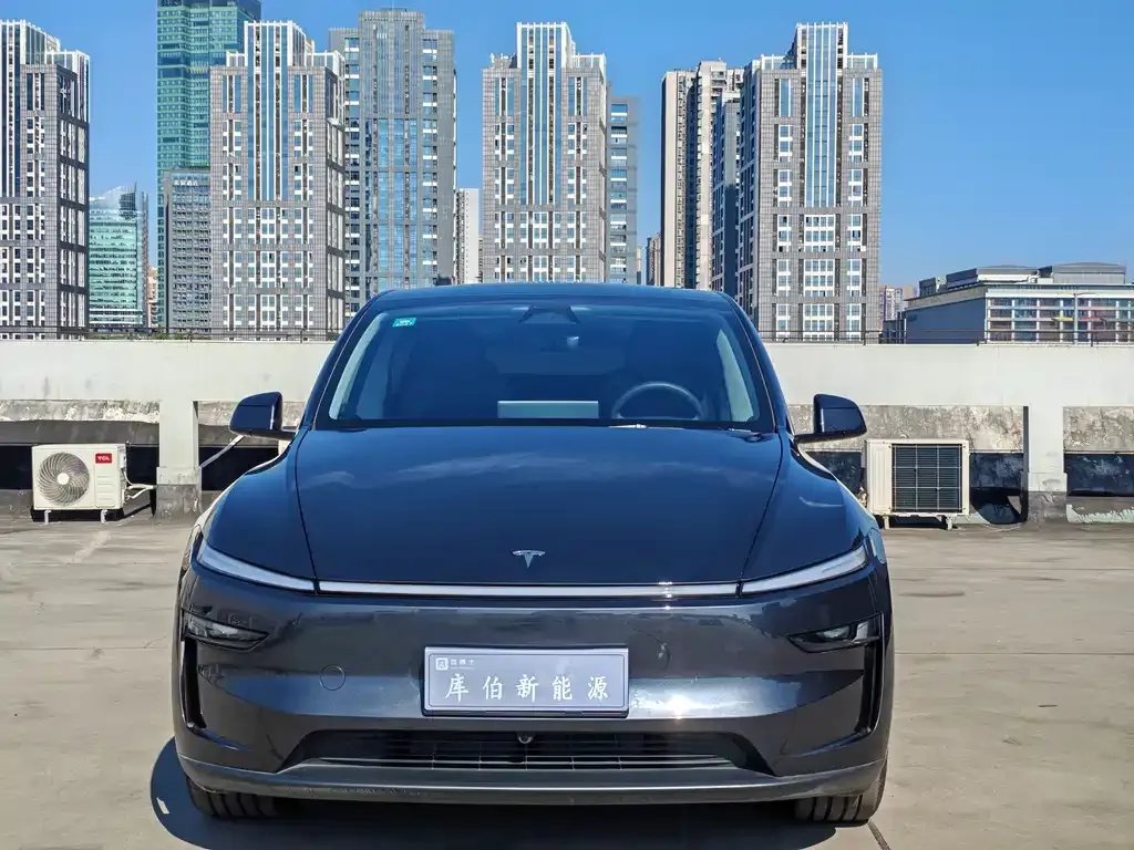 Tesla Model Y — фото 6
