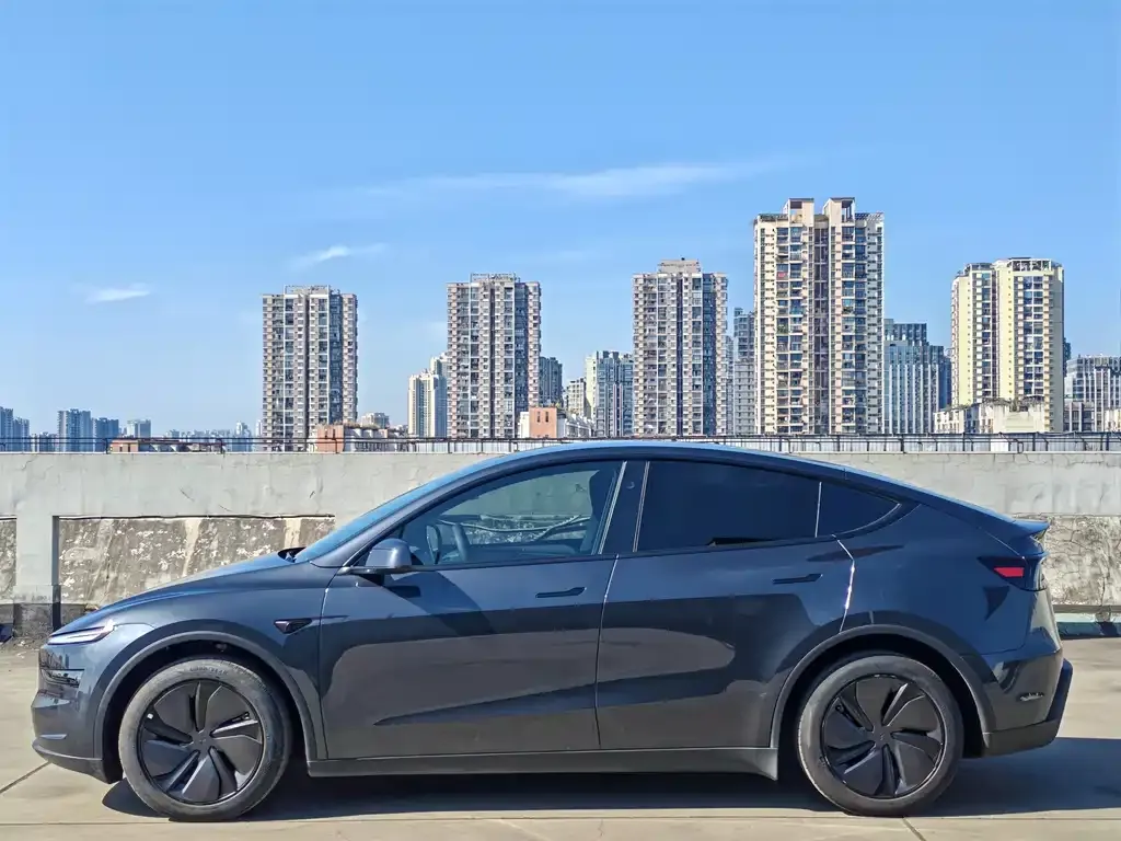 Tesla Model Y — фото 2