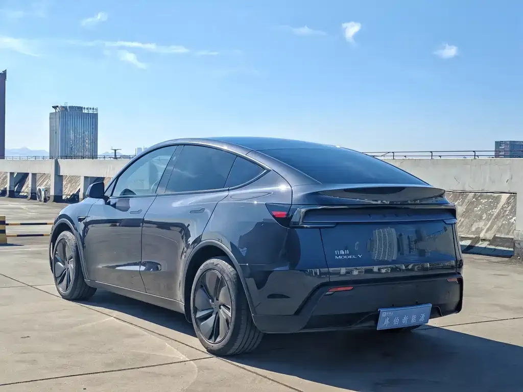 Tesla Model Y — фото 8