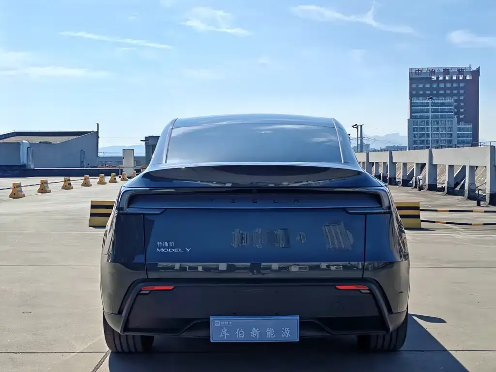 Tesla Model Y — фото 4