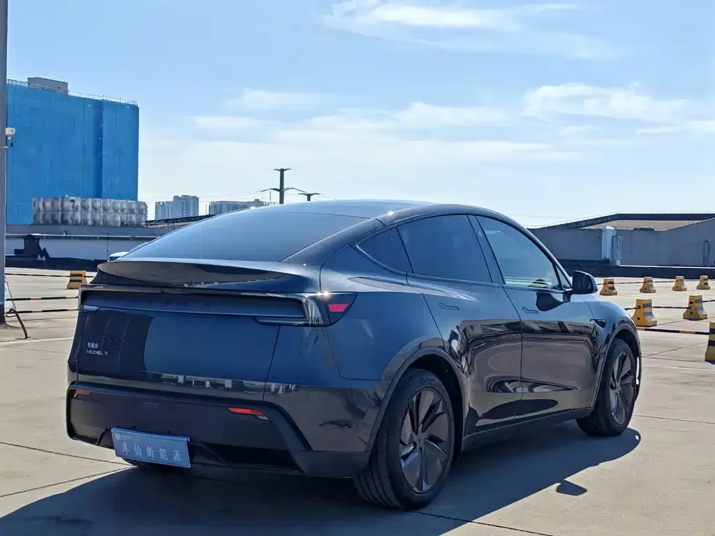 Tesla Model Y — фото 5