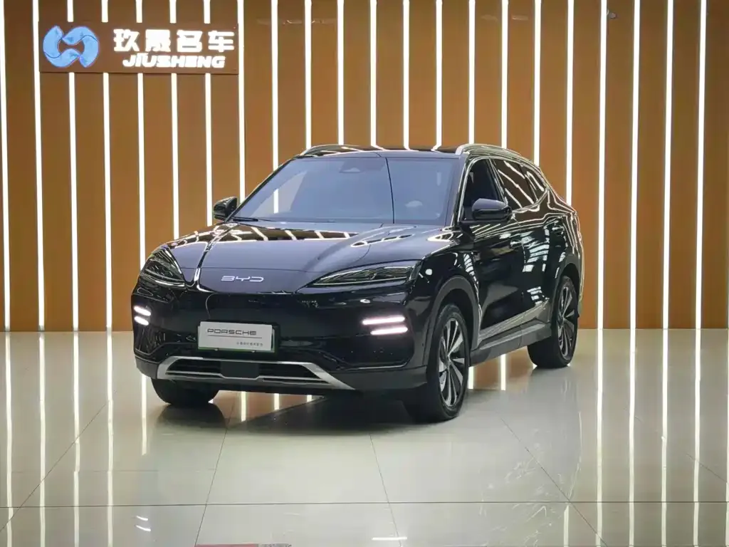 BYD PLUS New Energy — фото 1