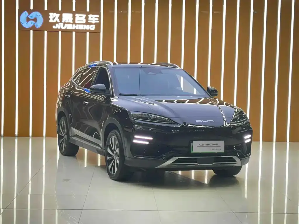 BYD PLUS New Energy — фото 2
