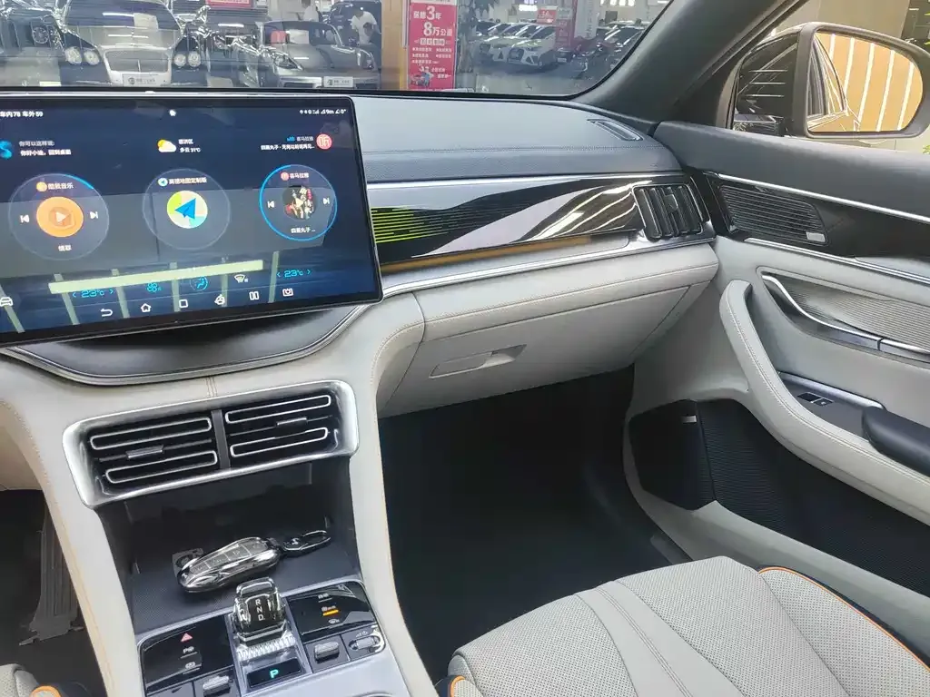 BYD PLUS New Energy — фото 10
