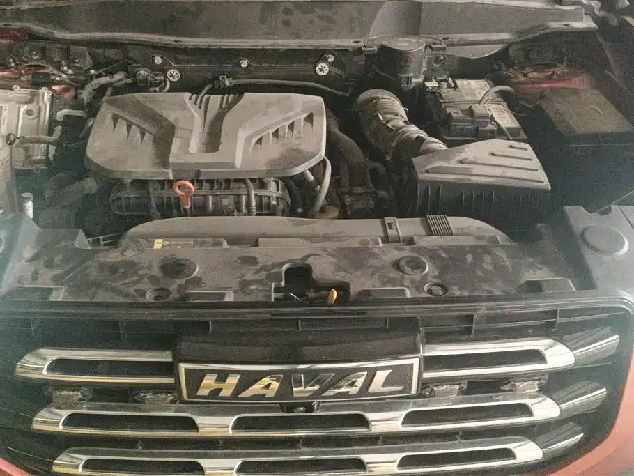 Haval Big Dog 2021 из CN, фото 6