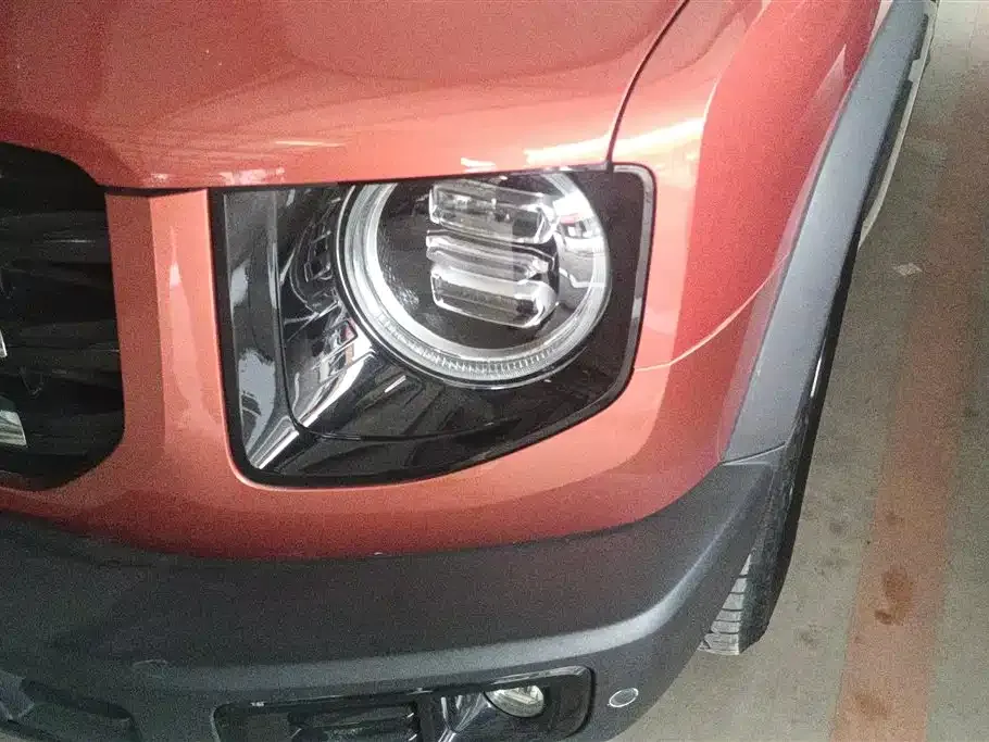 Haval Big Dog 2021 из CN, фото 4