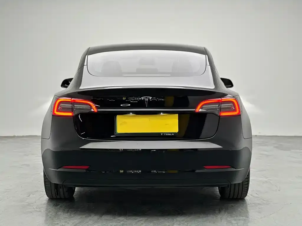 Tesla Model 3 2023 из CN, фото 3