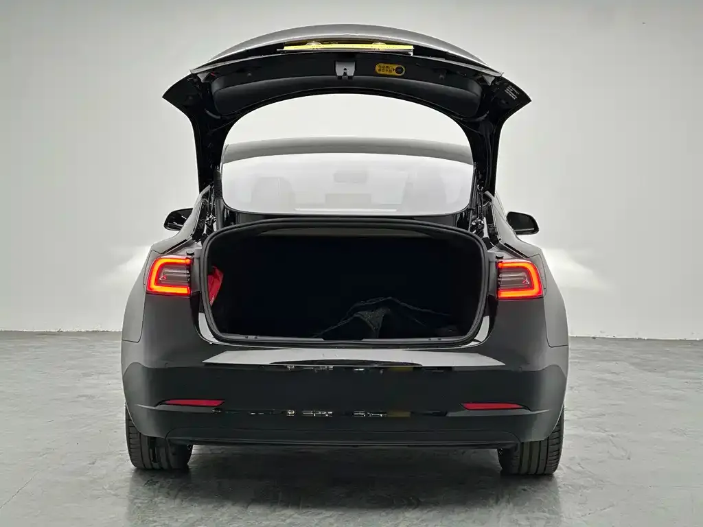 Tesla Model 3 2023 из CN, фото 2