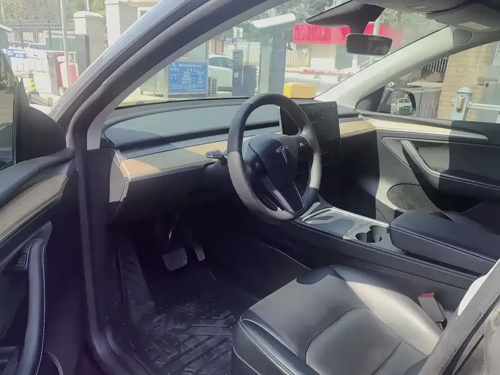 Tesla Model Y — фото 10