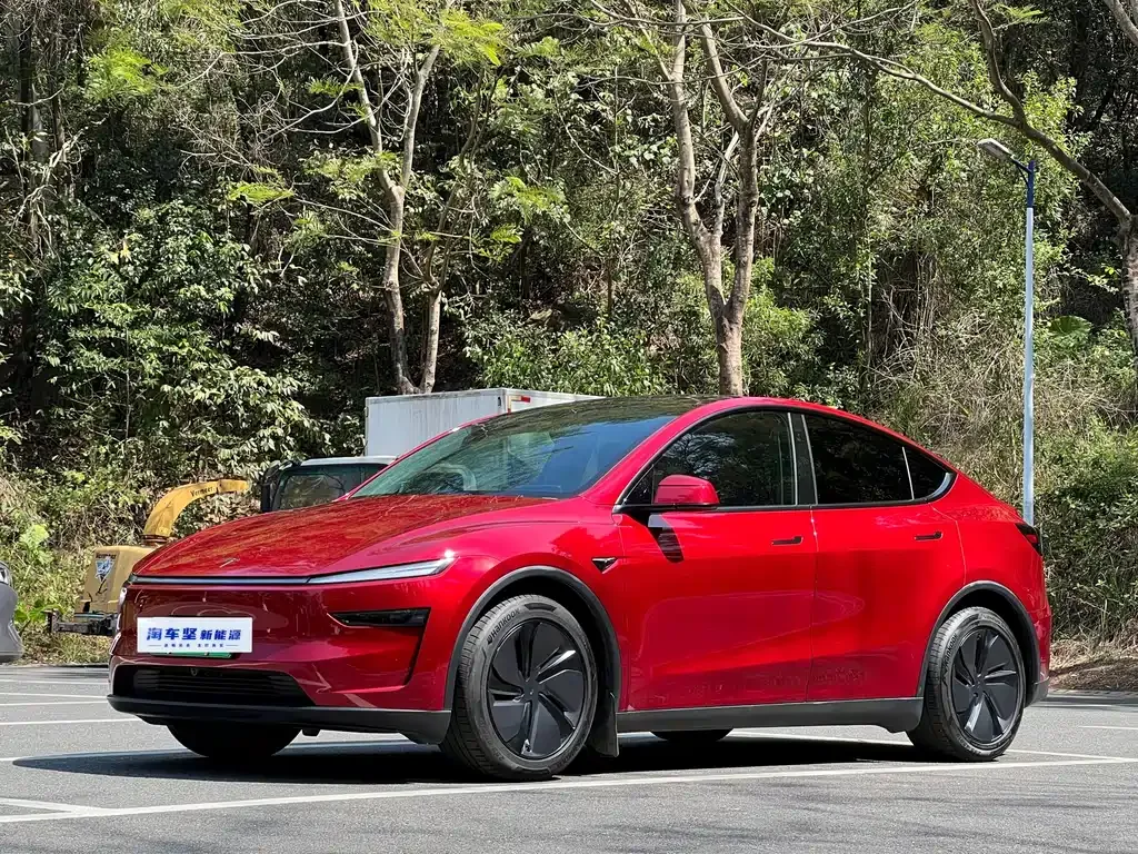 Tesla Model Y — фото 1