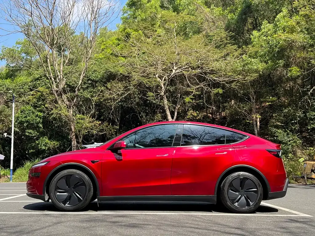 Tesla Model Y — фото 8