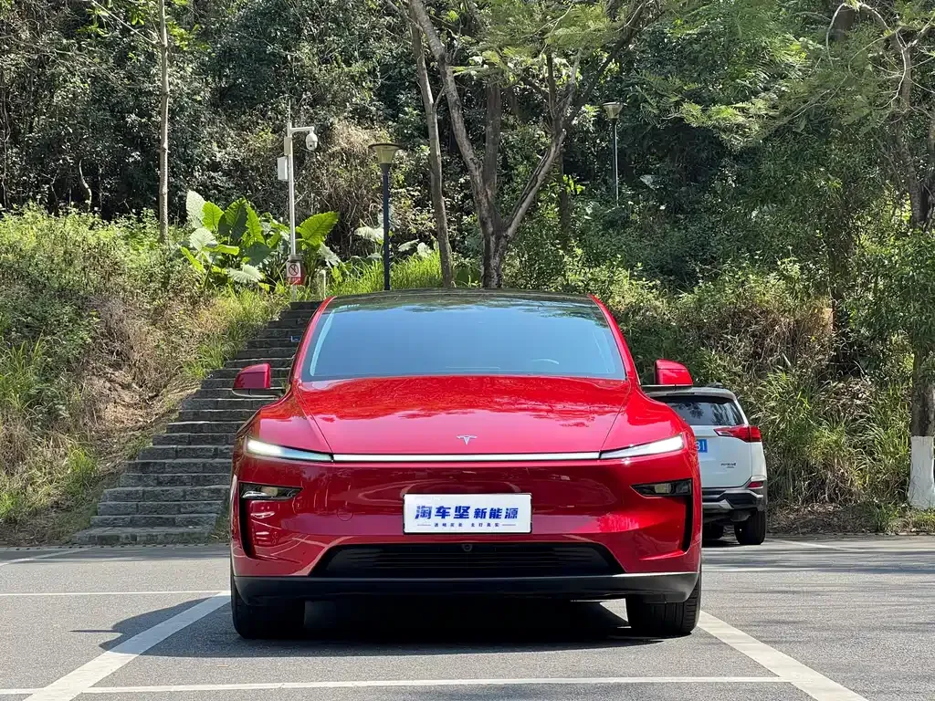 Tesla Model Y — фото 10