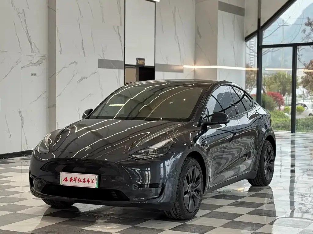 Tesla Model Y — фото 9