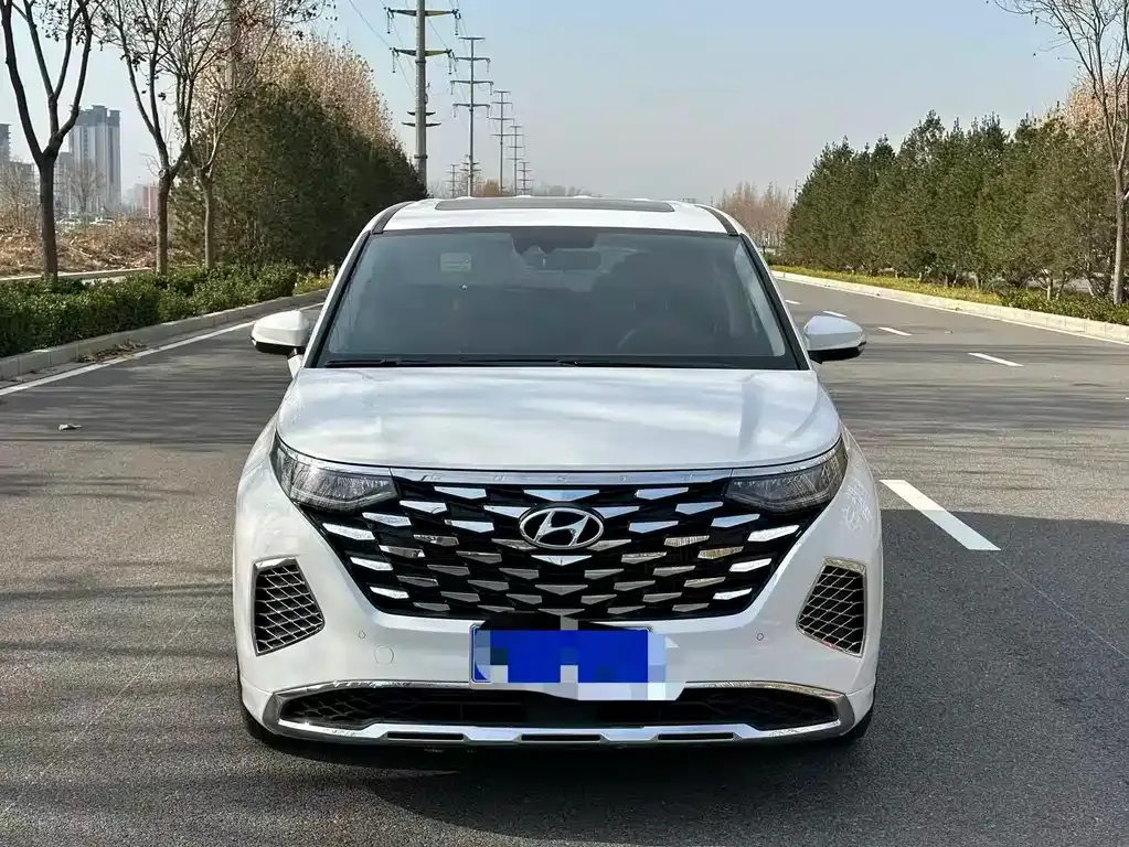 Hyundai Custo — фото 3