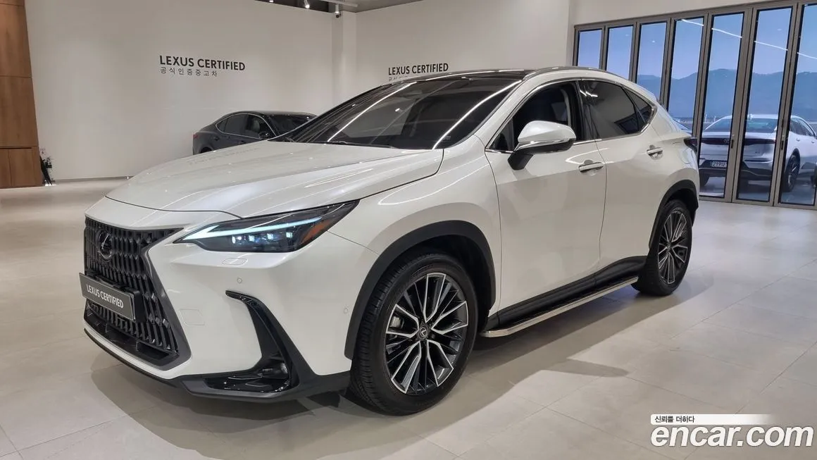 Lexus NX Luxury