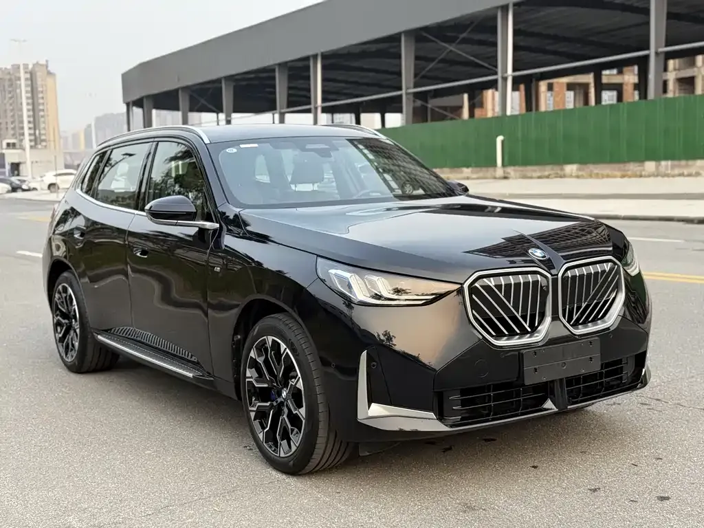 BMW X3 — фото 10