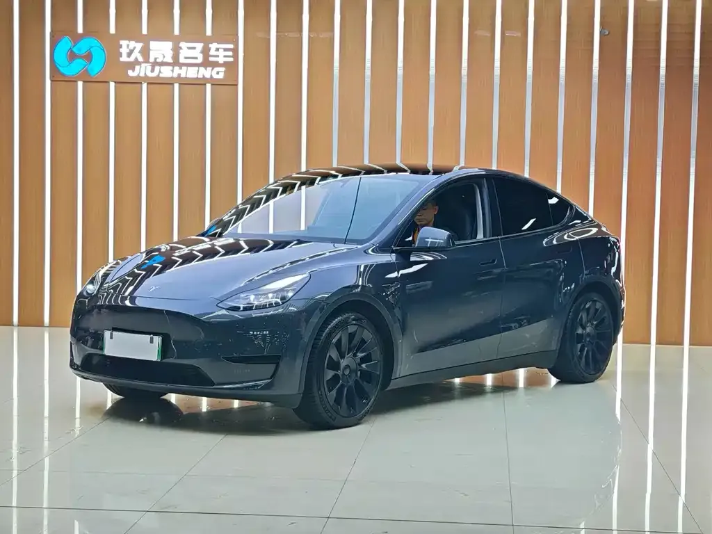 Tesla Model Y — фото 1