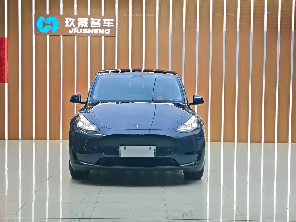 Tesla Model Y — фото 9