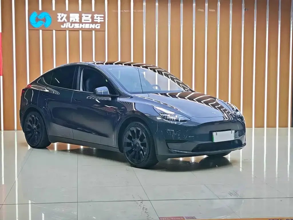 Tesla Model Y — фото 6