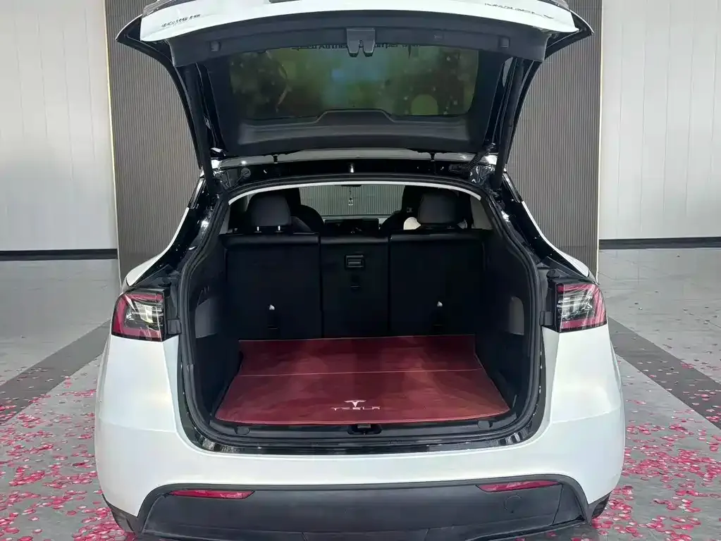 Tesla Model Y — фото 9